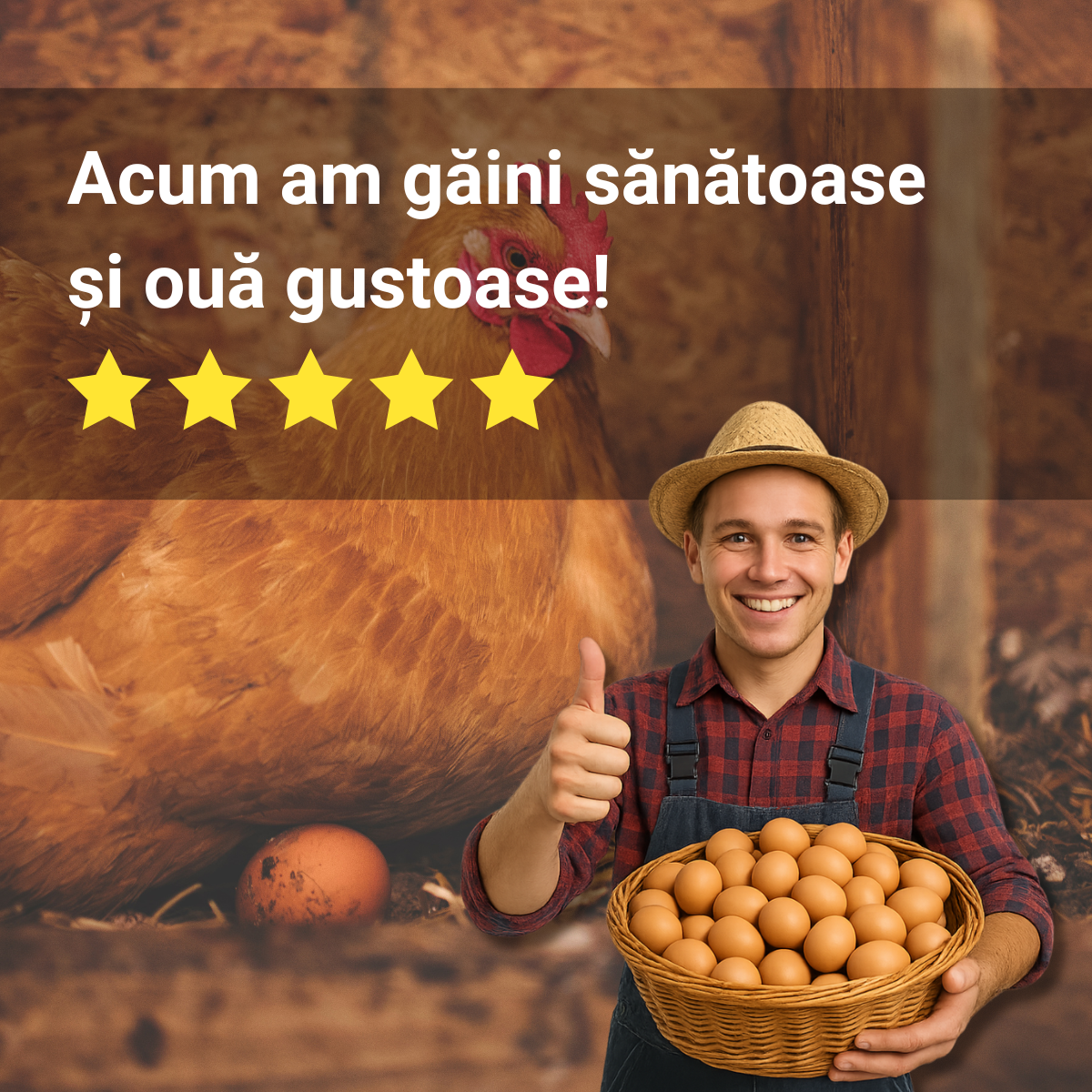 BioPunct 100gr - Scapă de păduchi la găini și animale!