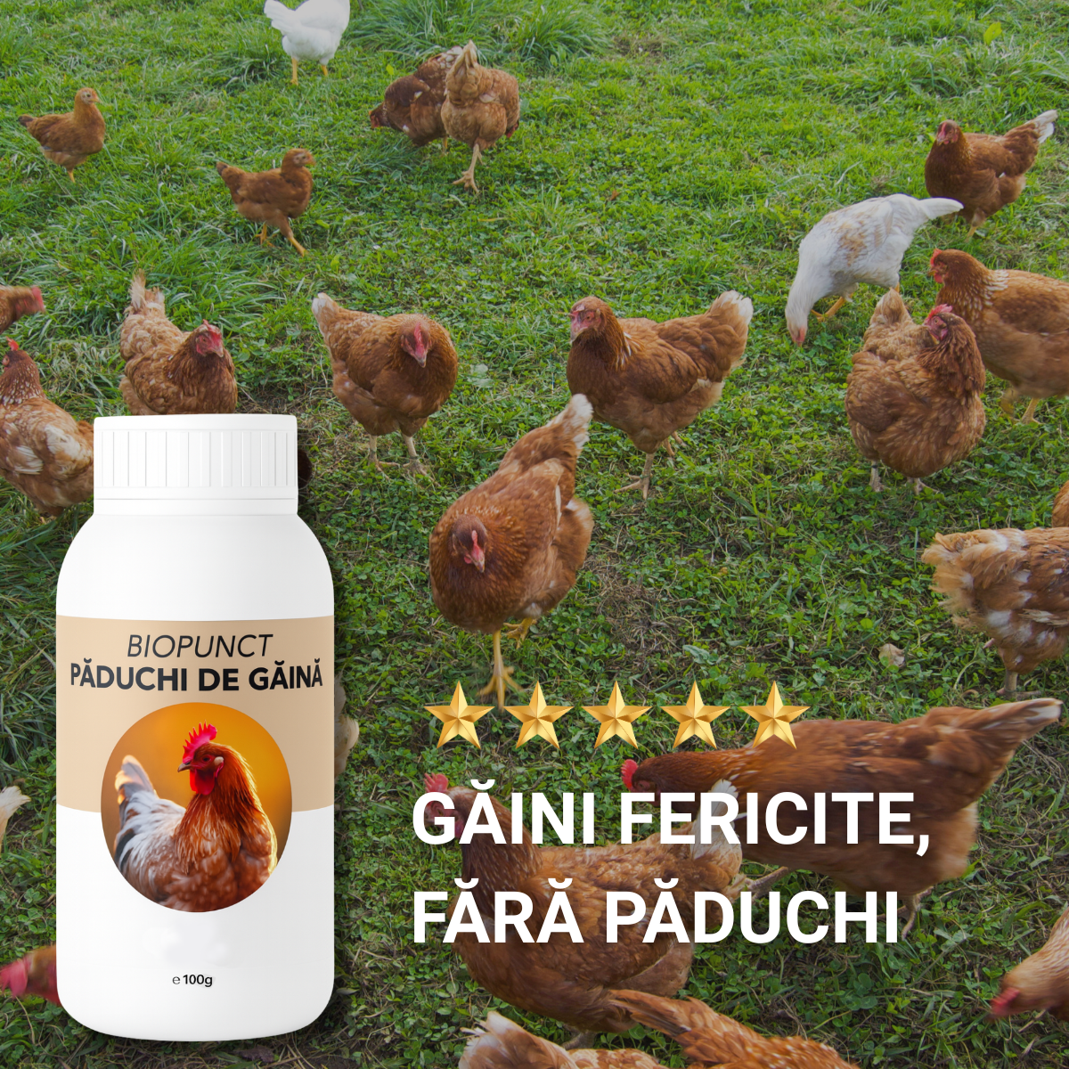 BioPunct 100gr - Scapă de păduchi la găini și animale!