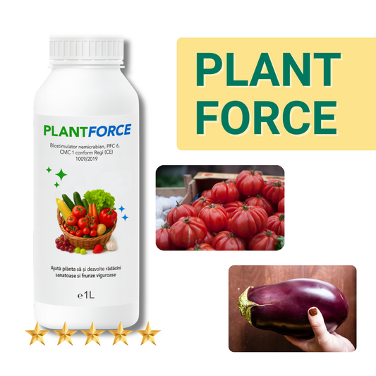 PlantForce 1L – Hrana puternică pentru plante mari și rod bogat!